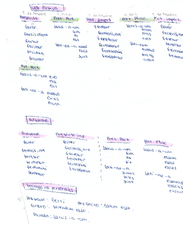 latin-41.pdf