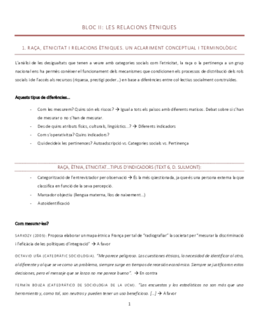 Apunts-bloc-etnicitat.pdf