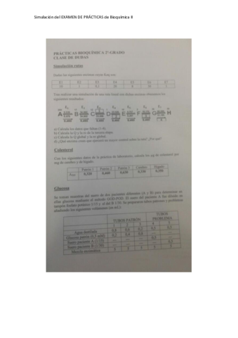 Examen de Practicas de Bioquimica II.pdf
