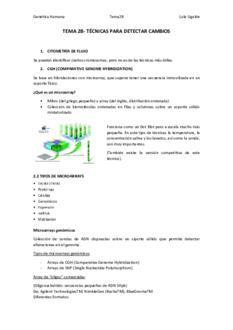 TEMA2B.pdf