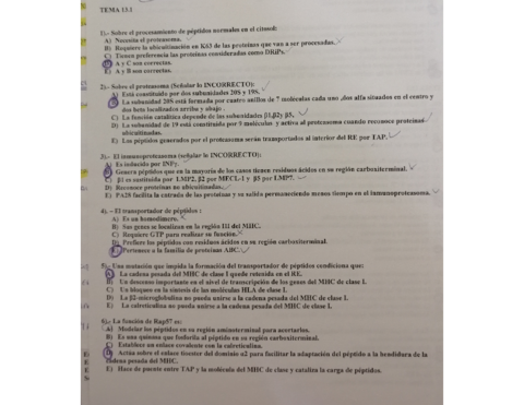 Examen-resuelto-tema-13.pdf