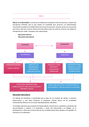 Resumen-Diversidad.pdf