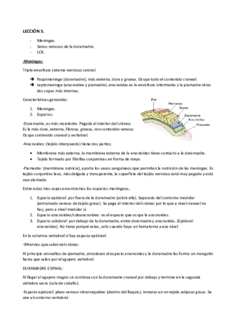leccion-5.pdf