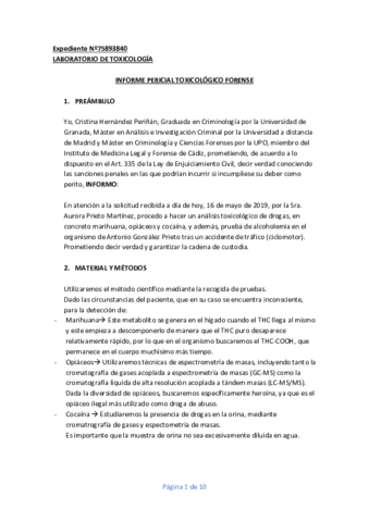 INFORME-PERICIAL.pdf
