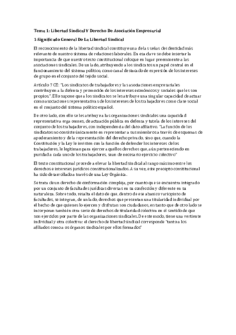 Tema-2-La-Libertad-Sindical-y-Derecho-Asociacion.pdf