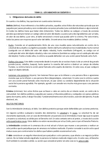 TEMA-11.pdf