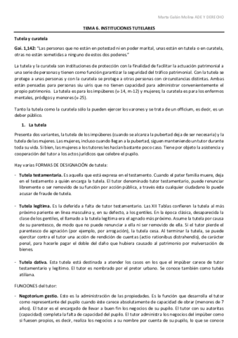 TEMA-6.pdf