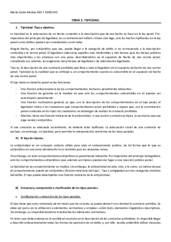 TEMA-5.pdf