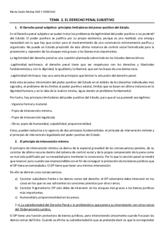 TEMA-2.pdf