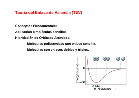 TEMATEVUAE.pdf