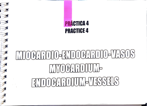 Practica-4.pdf