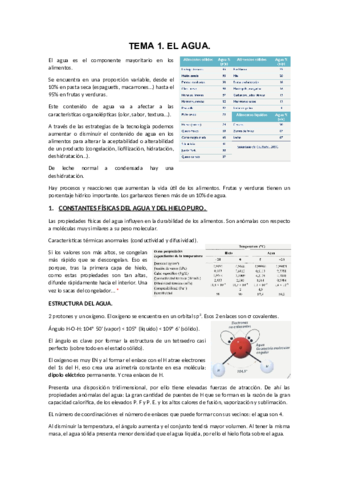 TEMA-2.pdf