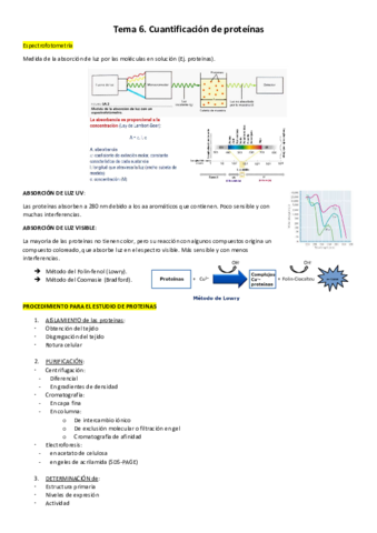 Tema6.pdf