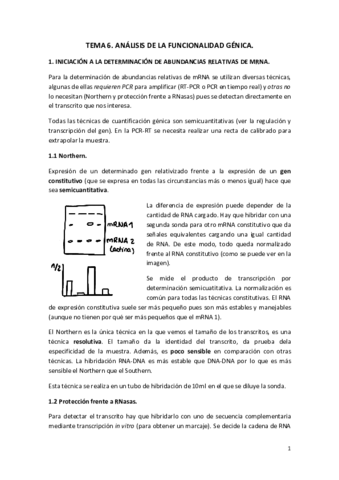 TEMA-6-y-7.pdf