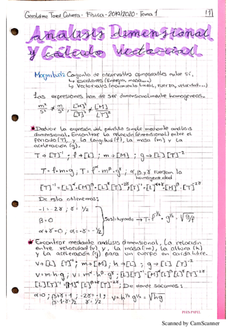 Fisica-Tema-1.pdf