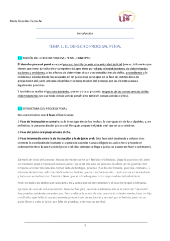 Tema-1-derecho-procesal-penal.pdf