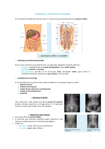 Seminario-Radiografia-abdomen.pdf