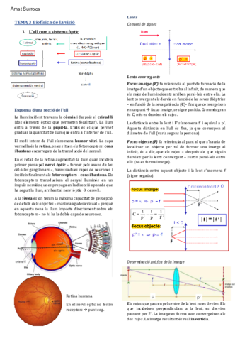 TEMA-3-BF-Visio.pdf