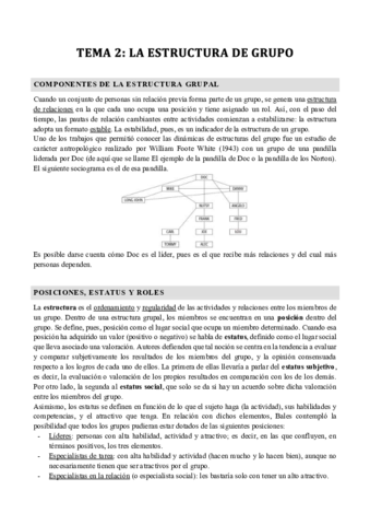 Tema-2-grupos-Amparo-Caballero.pdf