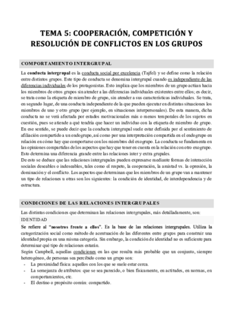 Tema-5-grupos-Amparo-Caballero.pdf