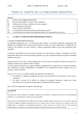 TEMA-23-OBJETO-DE-LA-PUBLICIDAD-REGISTRAL-celia-completo.pdf
