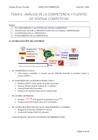 TEMA-6.pdf