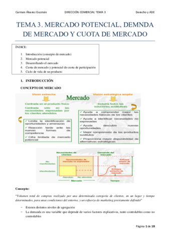 TEMA-3.pdf