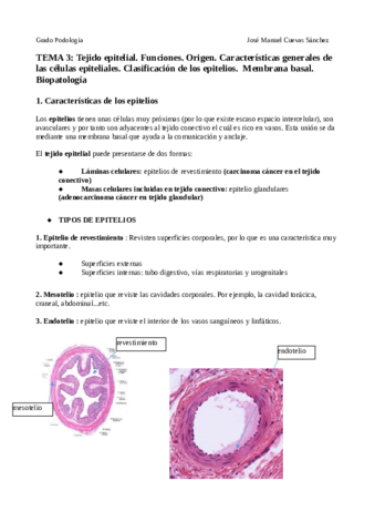 TEMA-3.pdf