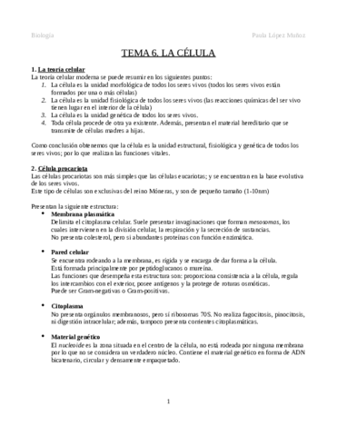 Tema-6.pdf