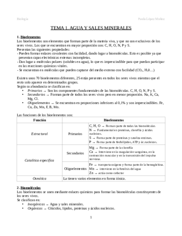 Tema-1.pdf