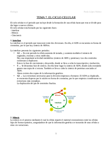 Tema-7.pdf