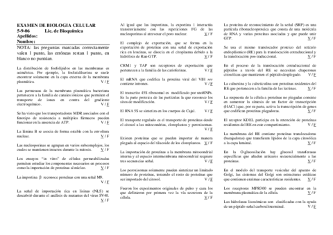 Ejemplo examen (resuelto).pdf