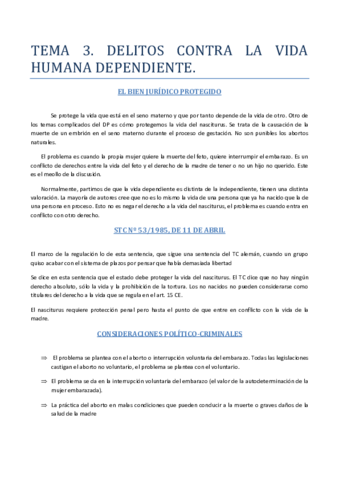 TEMA-3.pdf