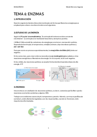 TEMA-6.pdf