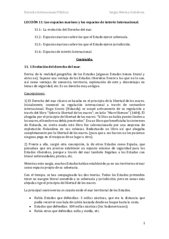 DIP-Tema-11.pdf