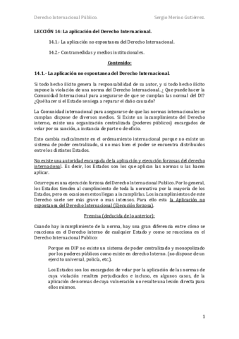 DIP-Tema-14.pdf
