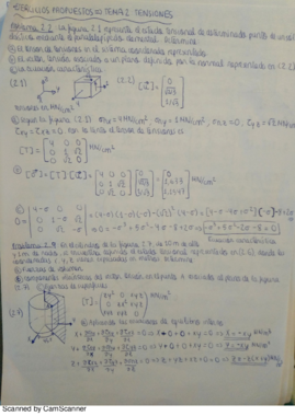 Ejercicios Elasticidad.pdf