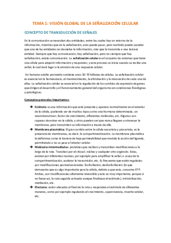 TEMA-1-Re.pdf