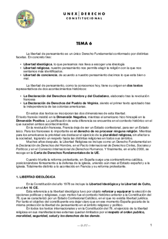 TEMA-6.pdf