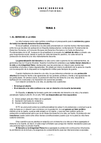 TEMA-5.pdf