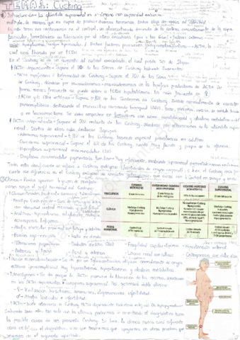 Endocrino 1.pdf