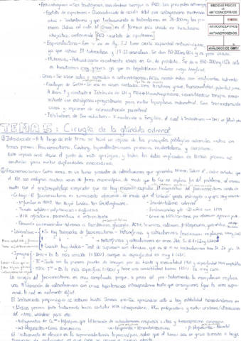 Endocrino 2.pdf