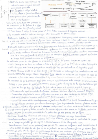 Endocrino 4.pdf
