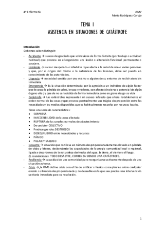 TEMA-1.pdf