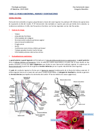 Tema-12-Pared-abdominal-hernias-y-eventraciones.pdf
