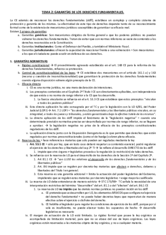 TEMA-2.pdf