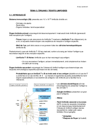 Apunts-Immunologia-Tema-5.pdf