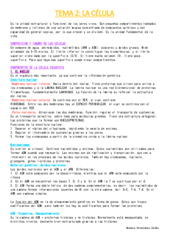 tema-2.pdf