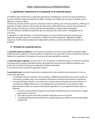 TEMA-7.pdf