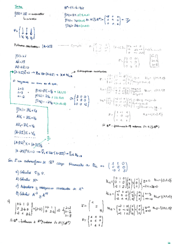 Tema-4-Autovalores-autovectores-y-Jordan.pdf